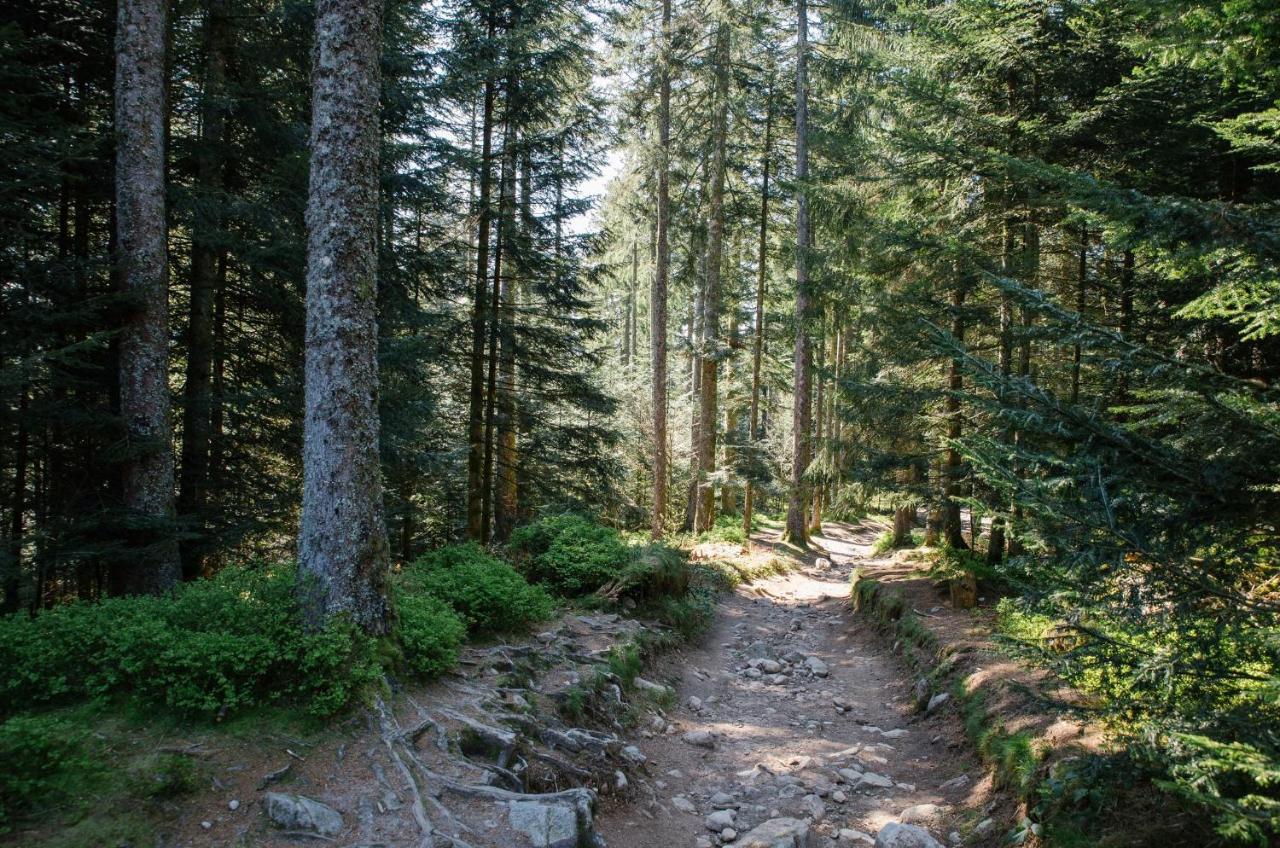 فيلا Le Refuge Du Cerf لو ثولي المظهر الخارجي الصورة